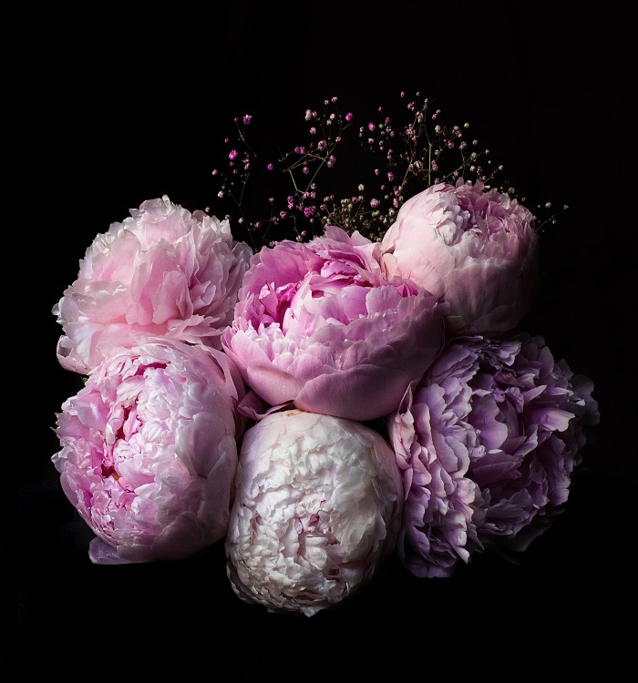 Peonies In Bloom Candle